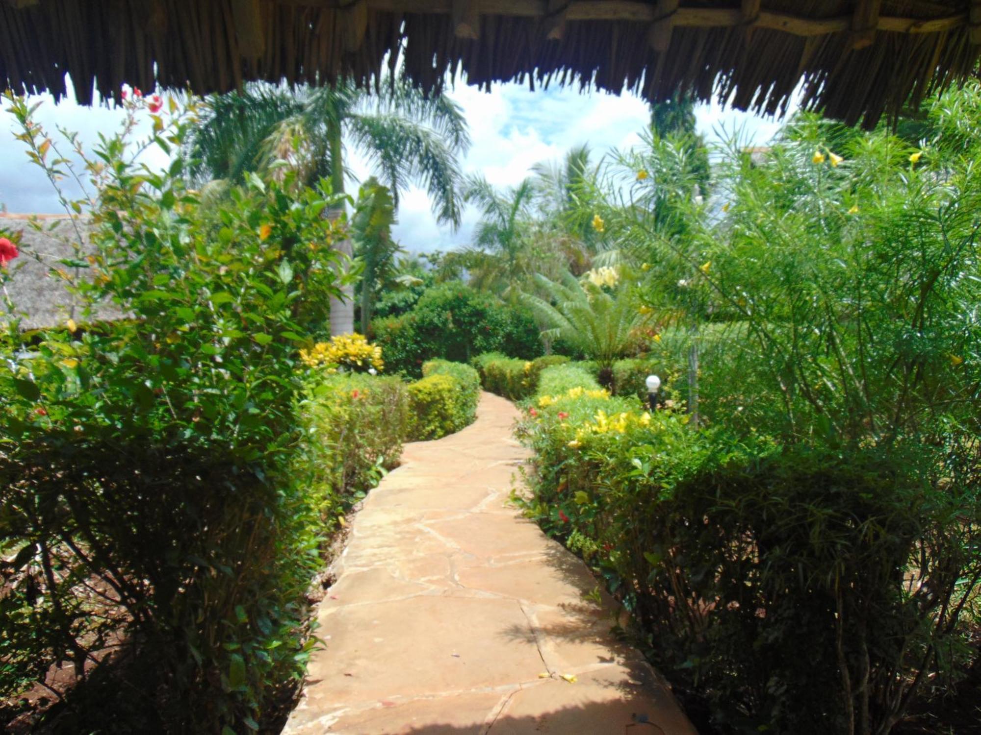 Villas Dora And Holly Diani Beach Buitenkant foto